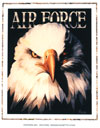 Eagle Air Force Poster