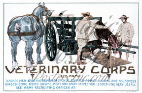 Veterinary Corps Poster